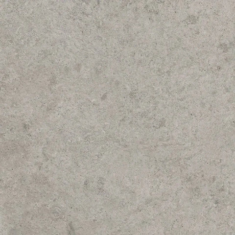 Born - Regal Grey